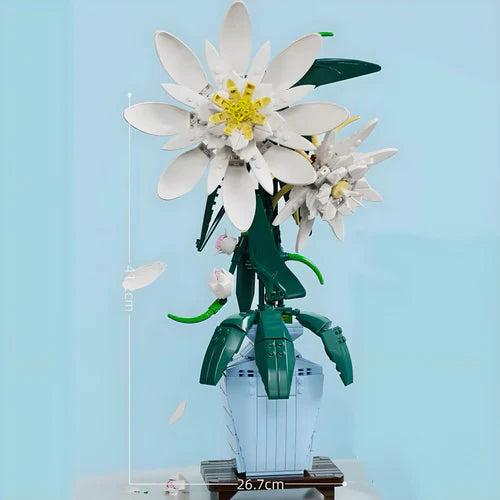 Epiphyllum Plant | 568 Pieces