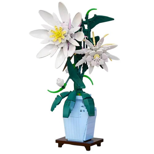 Epiphyllum Plant | 568 Pieces